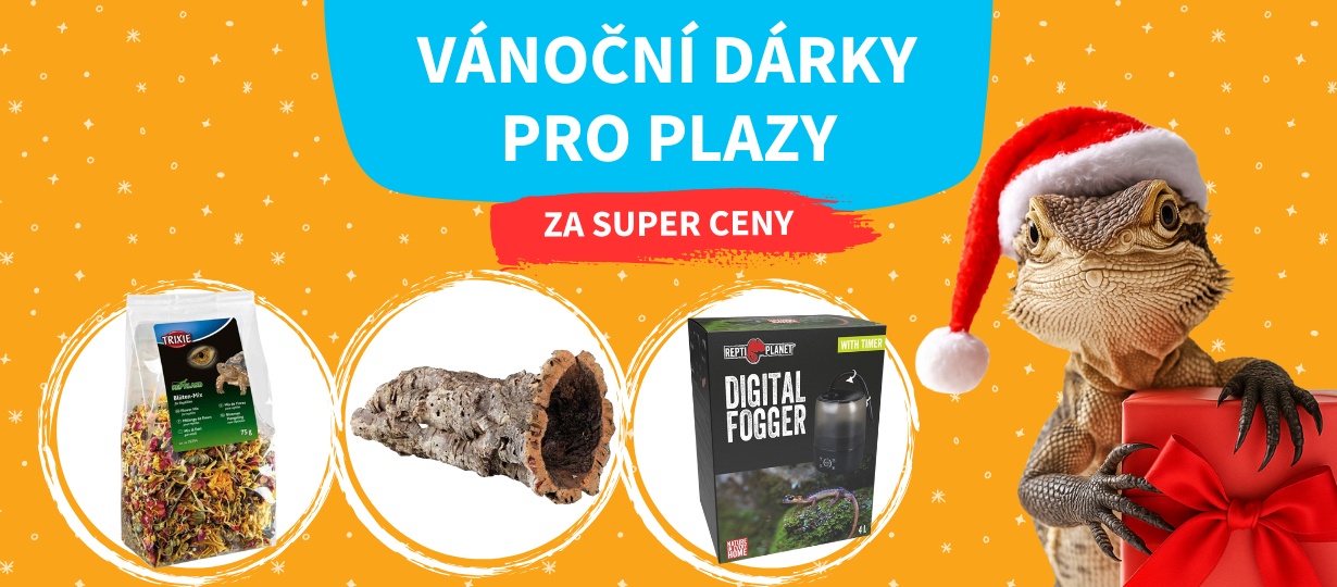 vanoce_plazi
